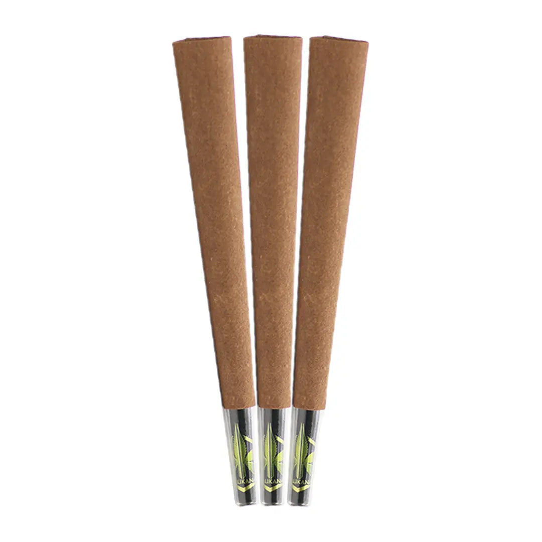BLUNT PAPER - 100% CHANVRE